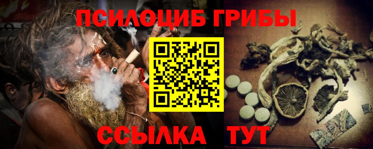 Псилоцибиновые грибы Psilocybe Волхов